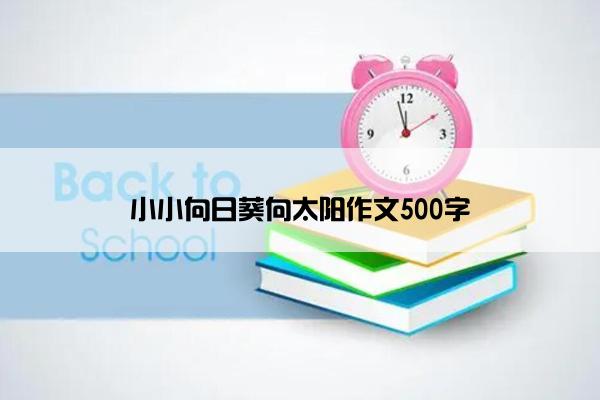 小小向日葵向太阳作文500字