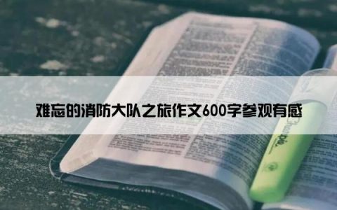 难忘的消防大队之旅作文600字参观有感