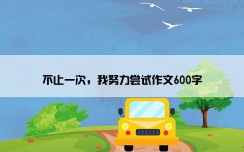 不止一次，我努力尝试作文600字
