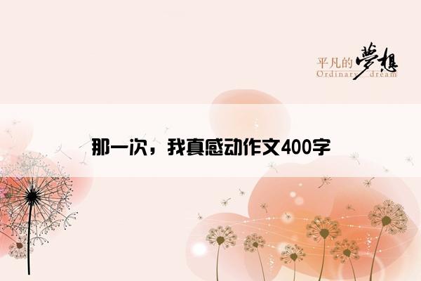 那一次，我真感动作文400字