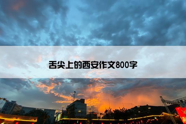 舌尖上的西安作文800字