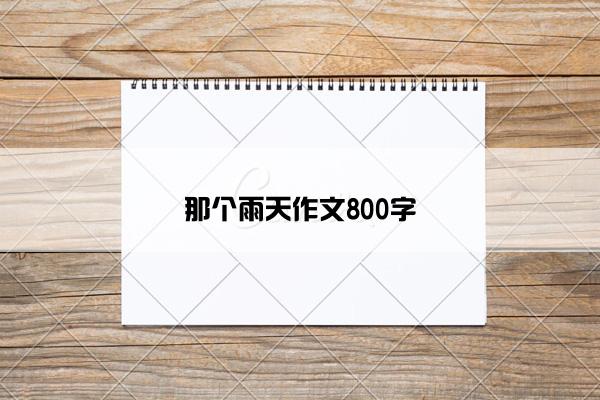 那个雨天作文800字