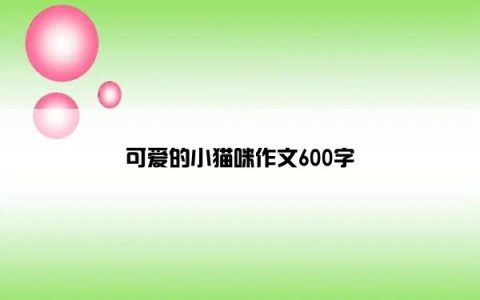 可爱的小猫咪作文600字