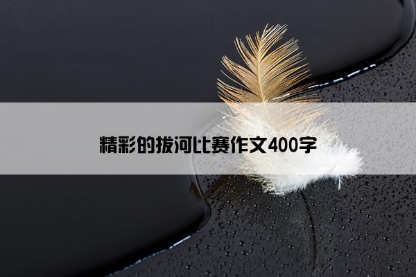 精彩的拔河比赛作文400字