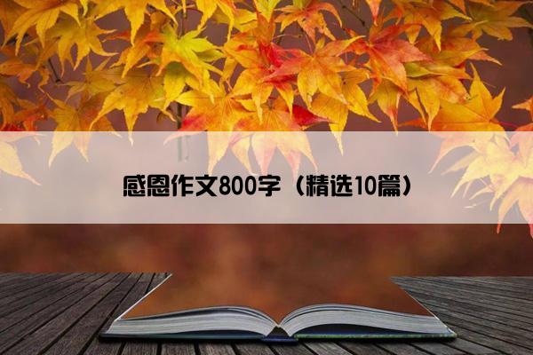 感恩作文800字（精选10篇）