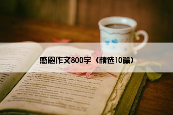 感恩作文800字（精选10篇）