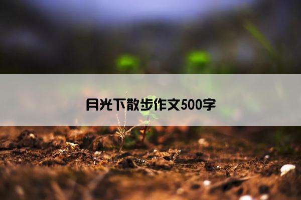 月光下散步作文500字