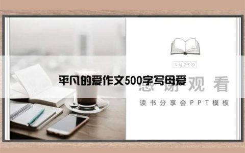 平凡的爱作文500字写母爱