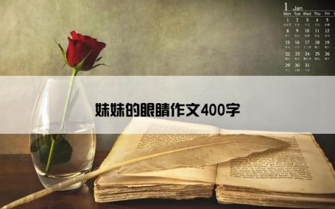 妹妹的眼睛作文400字