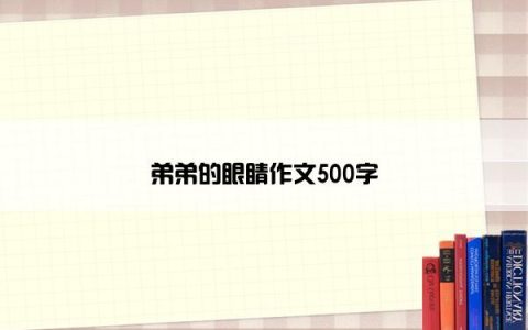 弟弟的眼睛作文500字
