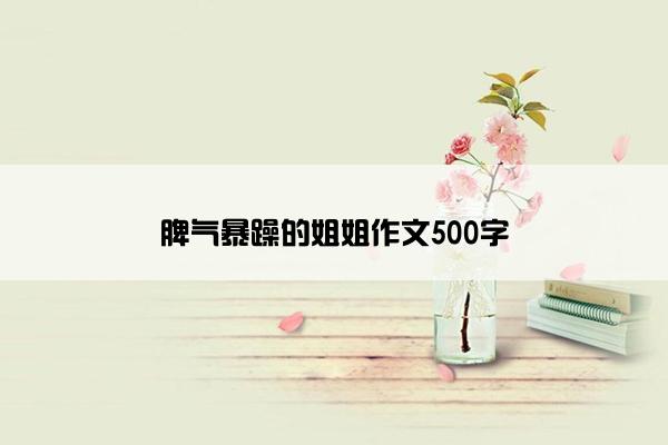 脾气暴躁的姐姐作文500字