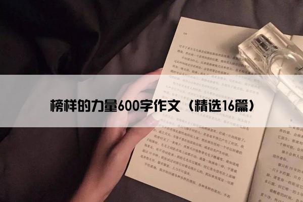 榜样的力量600字作文（精选16篇）