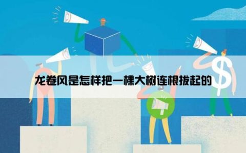 龙卷风是怎样把一棵大树连根拔起的