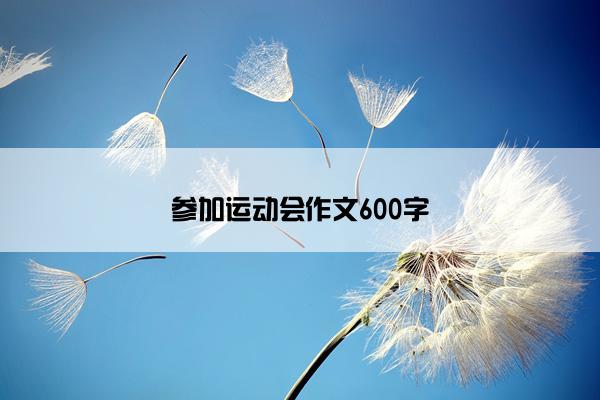 参加运动会作文600字