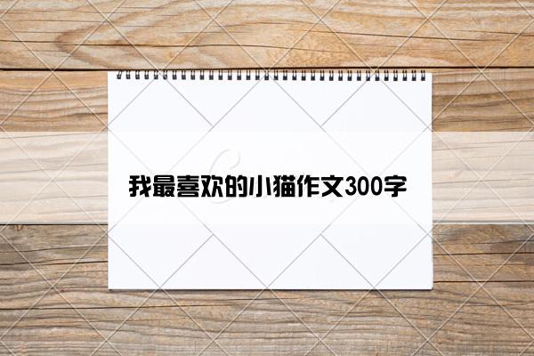 我最喜欢的小猫作文300字