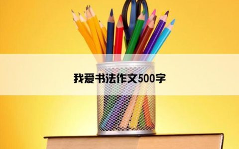 我爱书法作文500字