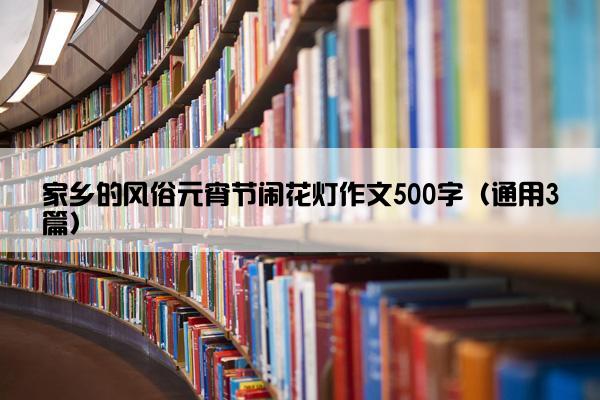 家乡的风俗元宵节闹花灯作文500字（通用3篇）