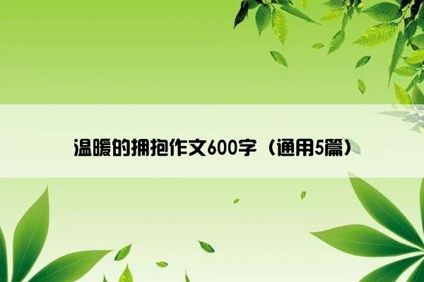 温暖的拥抱作文600字（通用5篇）