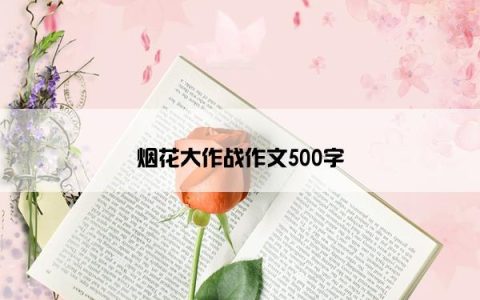 烟花大作战作文500字
