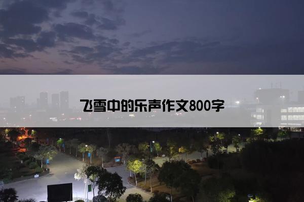 飞雪中的乐声作文800字