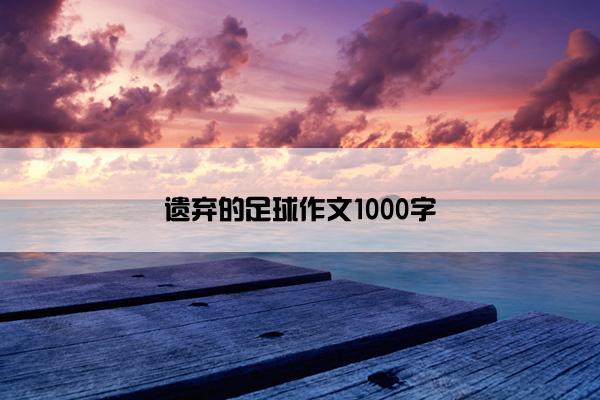 遗弃的足球作文1000字