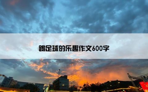 踢足球的乐趣作文600字