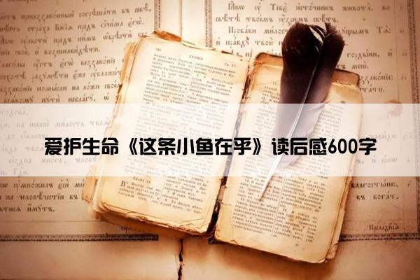 爱护生命《这条小鱼在乎》读后感600字