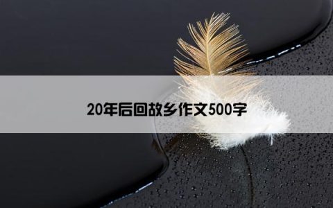 20年后回故乡作文500字
