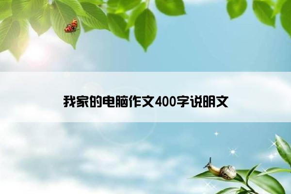 我家的电脑作文400字说明文