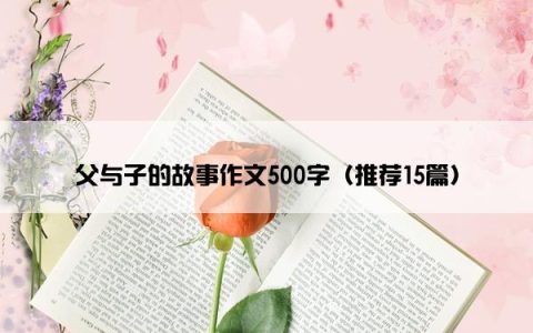 父与子的故事作文500字（推荐15篇）