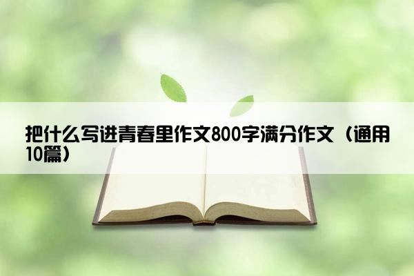 把什么写进青春里作文800字满分作文（通用10篇）