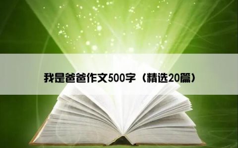 我是爸爸作文500字（精选20篇）