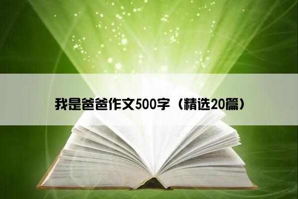 我是爸爸作文500字（精选20篇）