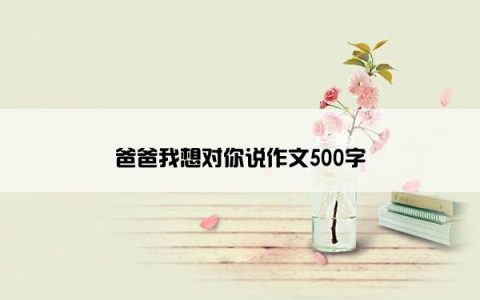 爸爸我想对你说作文500字