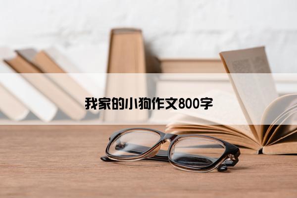 我家的小狗作文800字