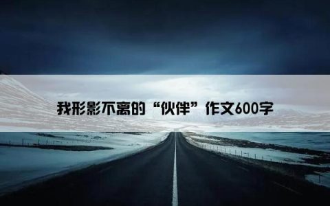 我形影不离的“伙伴”作文600字
