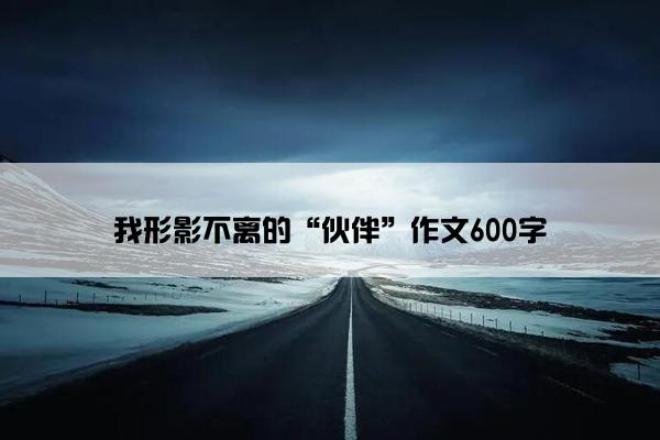 我形影不离的“伙伴”作文600字