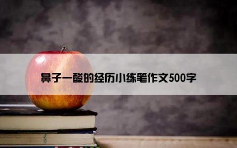 鼻子一酸的经历小练笔作文500字