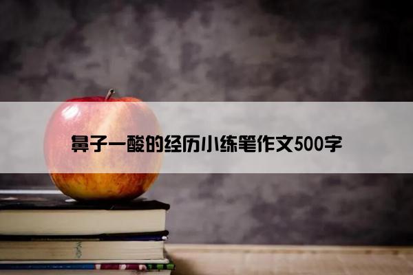 鼻子一酸的经历小练笔作文500字