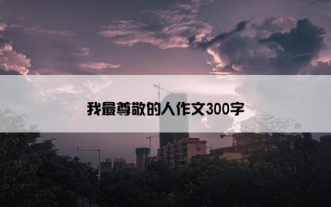 我最尊敬的人作文300字