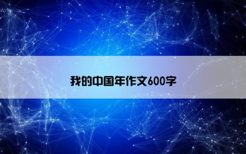 我的中国年作文600字