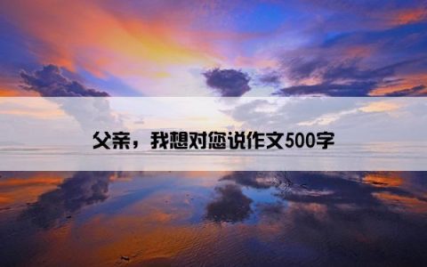 父亲，我想对您说作文500字