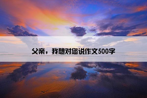 父亲，我想对您说作文500字