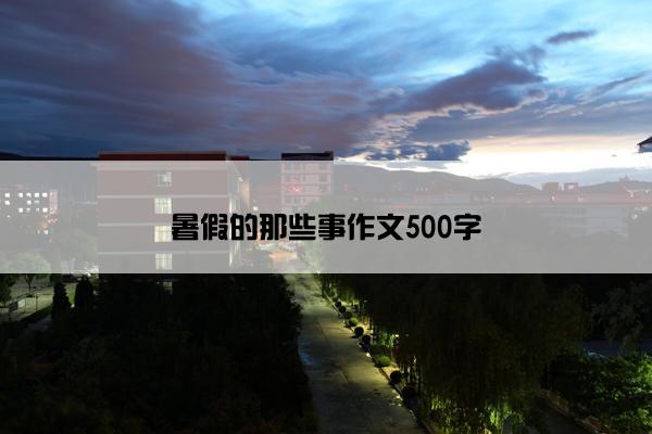 暑假的那些事作文500字