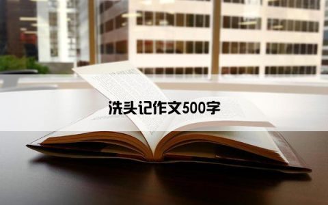 洗头记作文500字