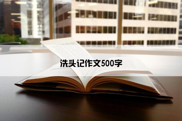 洗头记作文500字