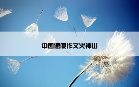 中国速度作文火神山