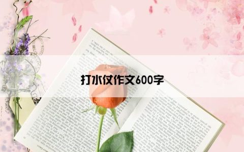 打水仗作文600字