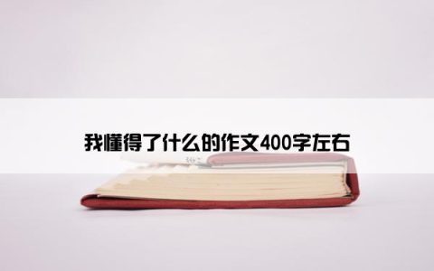 我懂得了什么的作文400字左右