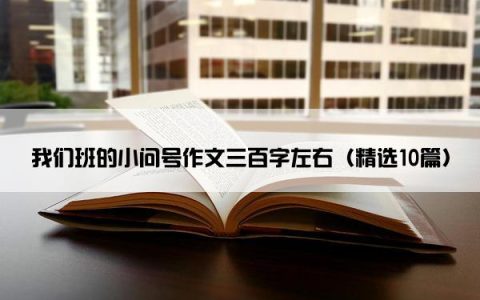 我们班的小问号作文三百字左右（精选10篇）